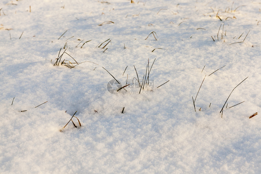 冬季雪在下后出现冬季的雪流在天飘动季纯度白色的哪一个图片