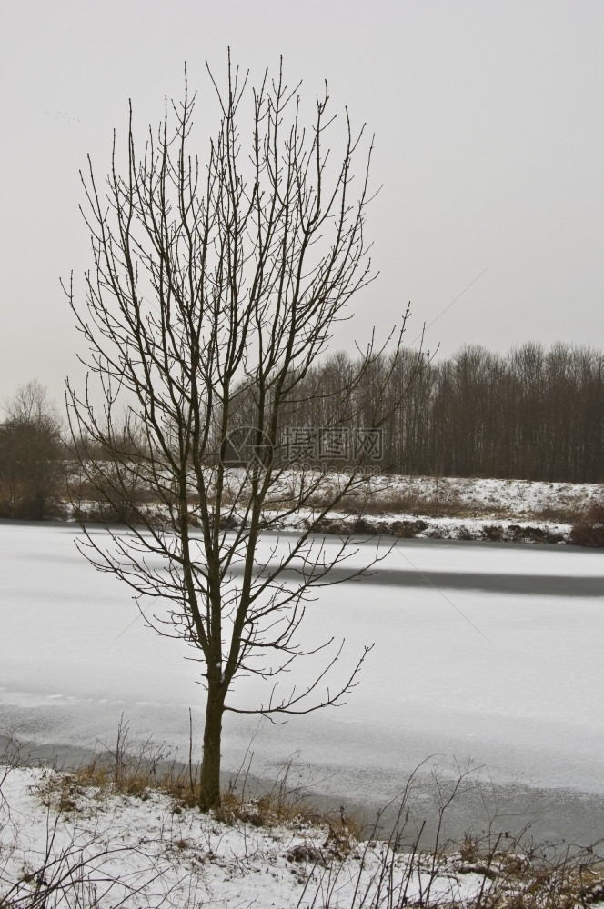 冰寒冷的天气下积雪覆盖着美丽的农村风景乡蓝色图片