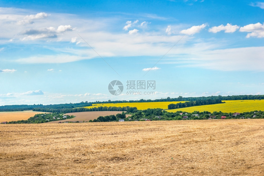农业移动小麦田和蓝云天空多的绿色图片