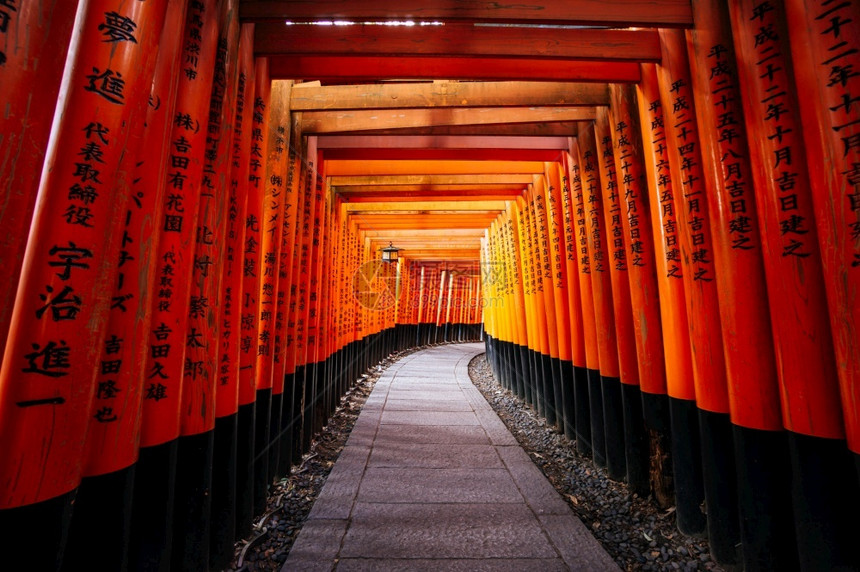 日本京都FushimiInariTaisha神社数千个红色托瑞门宗教旅游观光图片