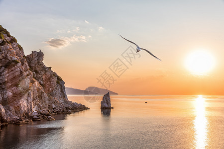 海鸥归巢地标夏天高清图片