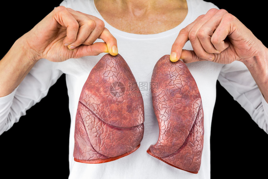 生物人类在白胸前有两种肺型在黑色背景下被隔离的黑胸前代谢高图片
