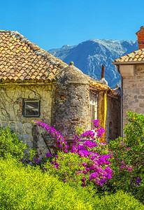 镇可选择的老房子花看法黑山选择焦点老房子花的看法选择焦点旅游图片