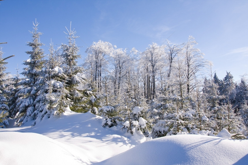 冬季雪山风光图片