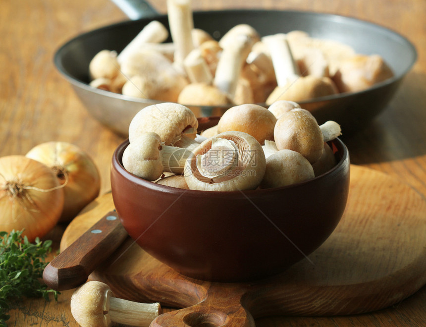 树桩吃夏天用于烹饪的生吉普赛蘑菇或Cortinariuscaperatus蘑菇与野生香草洋葱的组合物用于烹饪的生吉普赛蘑菇或Co图片