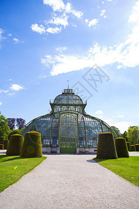 草自然奥地利维也纳著名的施恩布伦公园游记奥地利维也纳著名的施恩布伦公园游记美泉宫背景图片