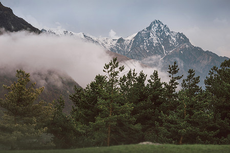 雾气弥漫的山峰和森林图片