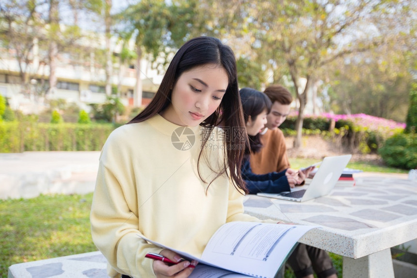 学生们在户外草坪上使用笔记本电脑图片