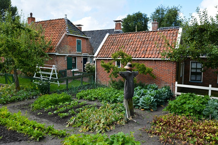 老的赞安荷兰房子的景观荷兰语图片
