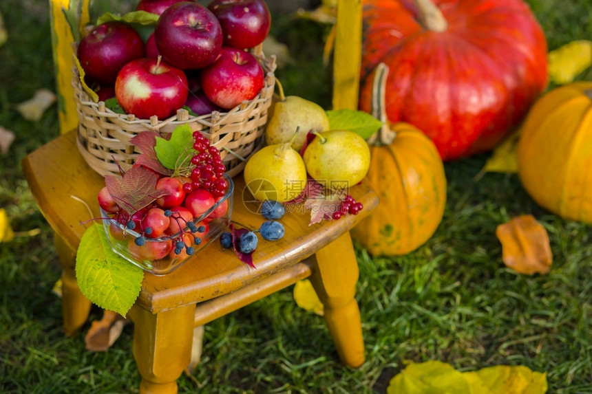 秋景植物南瓜柳条篮中的苹果陶瓷盆木椅复古风格花园里的作文户外秋景花园里的作文收成有机万圣节图片