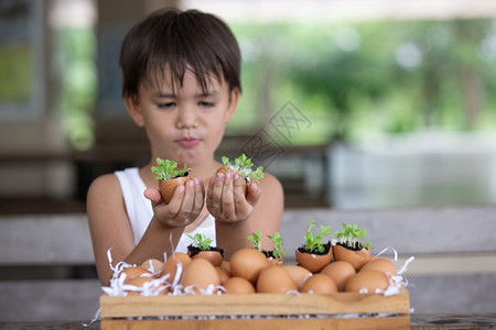 鸡蛋壳里培植植物的孩子背景图片