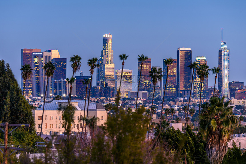 市中心洛杉矶下棕榈树在前方状态街道图片