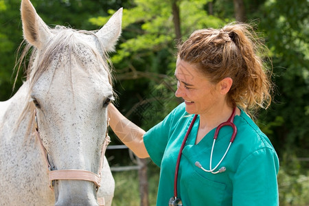 帮马进行治疗诊断的兽医图片