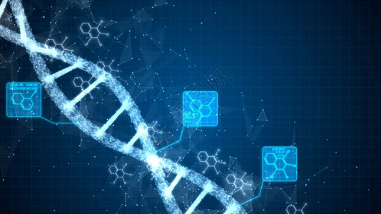 染色体数据字DNA构建摘要科学动画遗传信息概念设计顺序图片