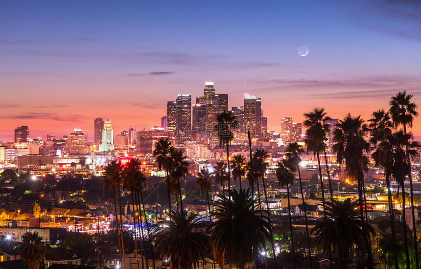 现代的美丽夕阳穿过棕榈树加州洛杉矶街道建筑的图片