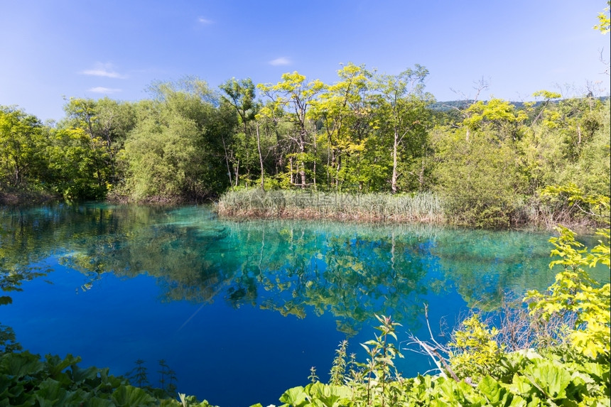 旅游自然欧洲著名的克罗地亚普利维茨湖公园野生动物图片