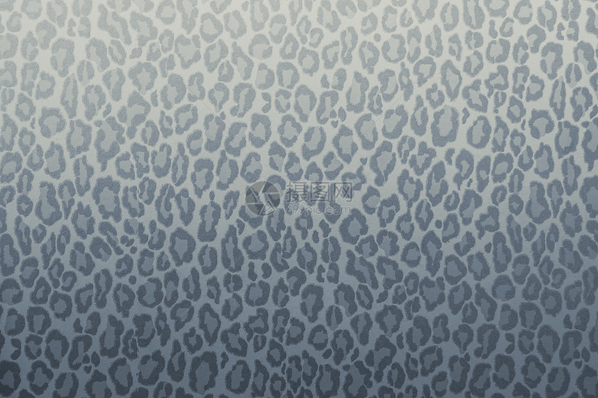 豹型野生动物的形态背景或纹理壁纸概念豹型野动物的形态背景或纹理墙纸概念蓝灰过滤器时尚猎豹皮肤图片