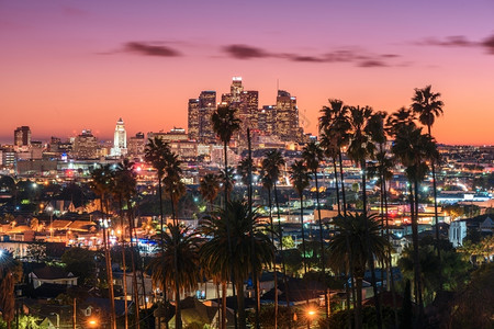 洛杉矶美丽的日落市中心天际和棕榈树在地上夜晚城市的美国图片