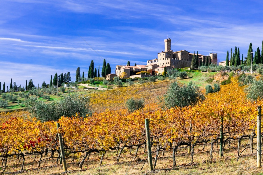 托斯卡纳令人惊异的金色葡萄园意大利酒区与班菲城堡相望全景秋天葡萄酒图片