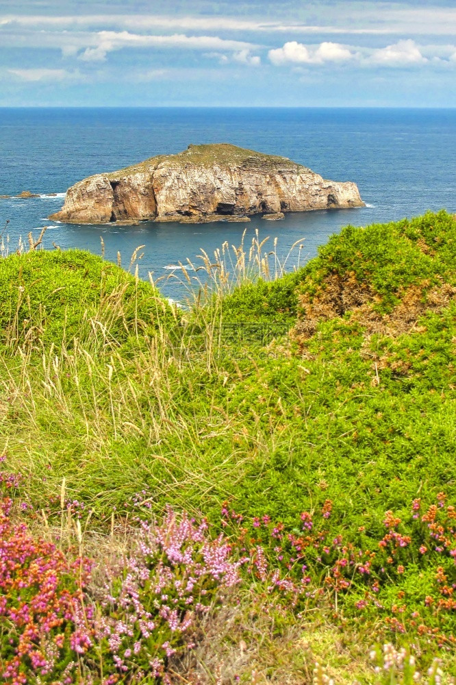 CabodePenas阿斯图里亚公国阿图里亚西班牙欧洲观察生物多样坎塔布连图片