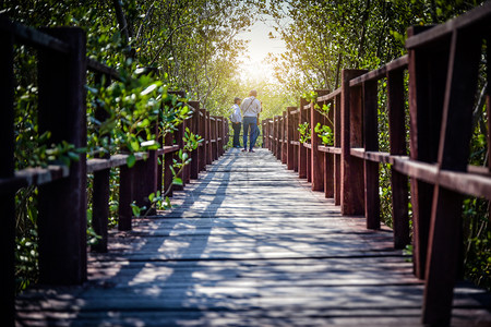旅行颜色人们在城市公园的木桥上行走风景图片