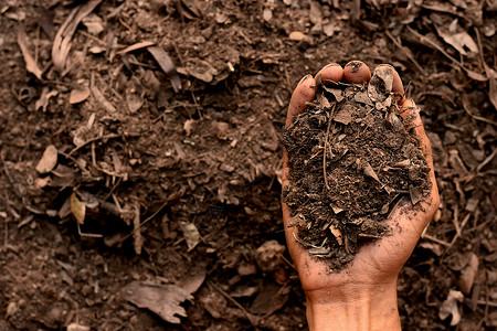 生态男人手中的拉绳用于种植土壤质地背景生长氮高清图片