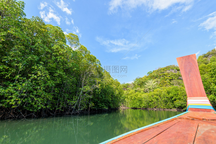 在夏日的天空下乘船在PhanteMelaka运河的绿色红树林美丽大自然中旅行水亚洲户外图片