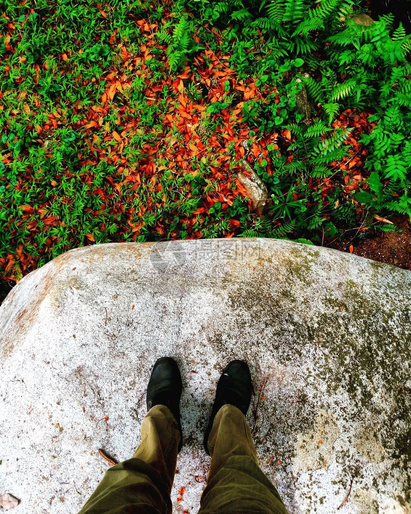 闲暇走道男子站在石上用自闭叶的腿观光图片