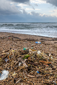 海边生态垃圾图片