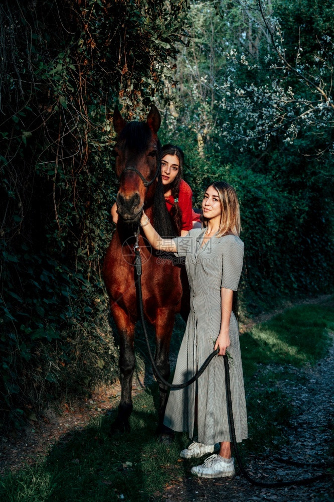 森林爱两个女朋友聊天骑着马乘兜风穿过农村的乡间骑师图片