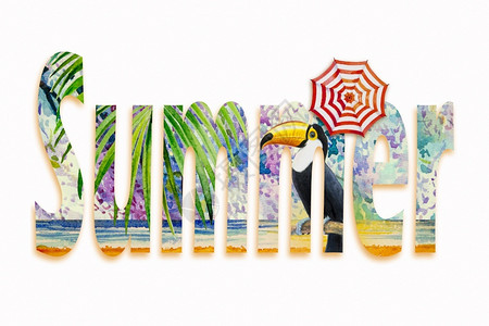 艺术的家禽绘画水彩手鸟和雨伞棕叶花纹加上海景波沙滩和白色背景的蓝黄彩画插图用Toucan鸟绘制的热带夏季文字横幅背景图片