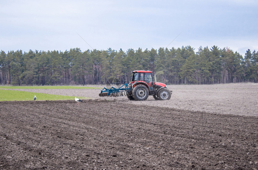 拖拉机上的农民用中耕机整地在农田播种早春的农业活动在田上播种环境耙犁过图片