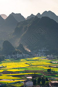 环境村庄种植园万芬格林家地质公园森林十万山峰被的种子花卉田和村落背景图片