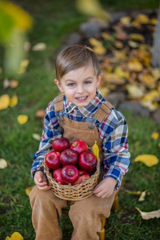 秋天的苹果男孩用南瓜和葡萄组成秋天的花园背景男生孩子童年图片