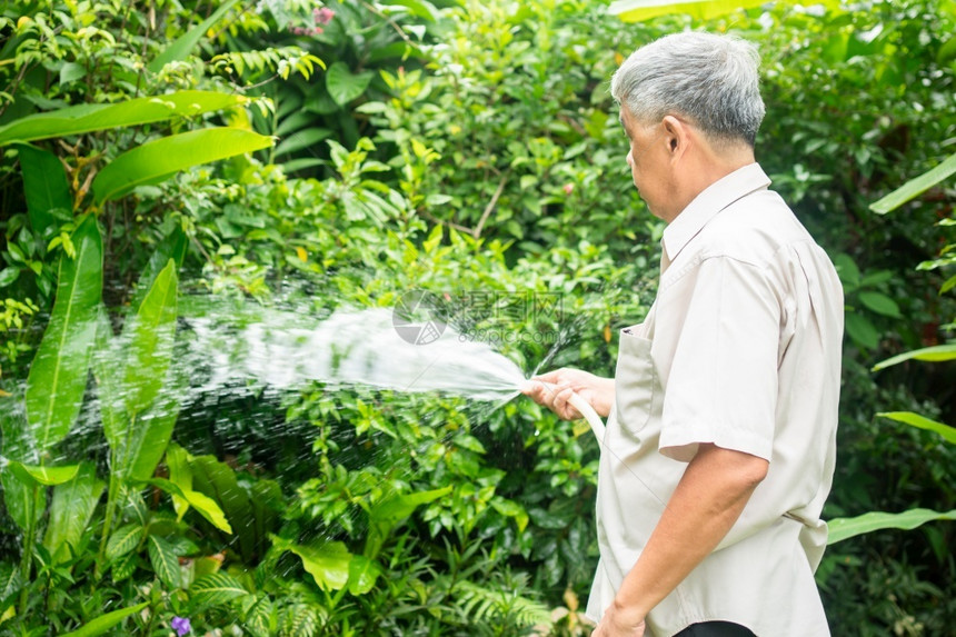 一个快乐和微笑的亚洲老年人在家中为退休后的一种爱好给植物和鲜花浇水老年人幸福生活方式和良好健康的概念对老年人的健康概念闲暇快乐的图片