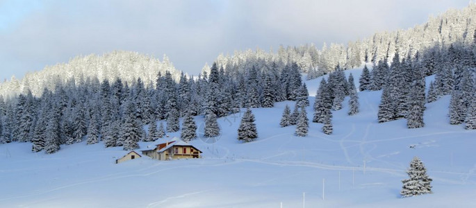 全景田园诗般的美丽fir树上面布满雪花在Jura山的小房子旁边冬天多云的一瑞士Jura山冬季瑞士Jura山冬季环境冷冻高清图片素材
