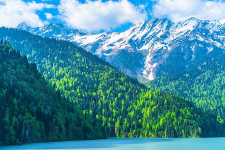 树高加索山脉美丽的里察湖青山丘陵蓝天白云春风景高加索山脉美丽的里察湖春天风景岩石森林里萨高清图片素材