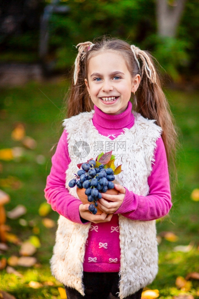 花朵活力快乐的在阳光明媚秋天在花园里握着成熟葡萄的可爱女孩在阳光晴朗的秋天在花园里握着成熟葡萄的可爱女孩图片