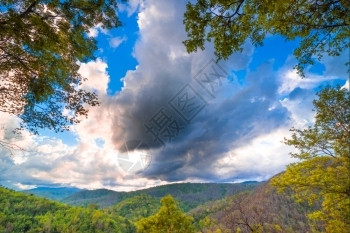 森林里的白云天空阳光高清图片素材