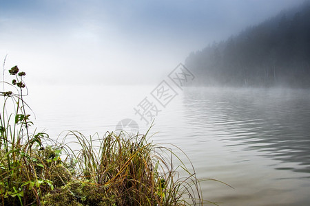 安静的湖面水雾在河上清晨烟雾冷静的阴霾图片