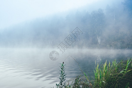 日出湖面水的雾在河上清晨烟雾荒野蓝色的背景图片