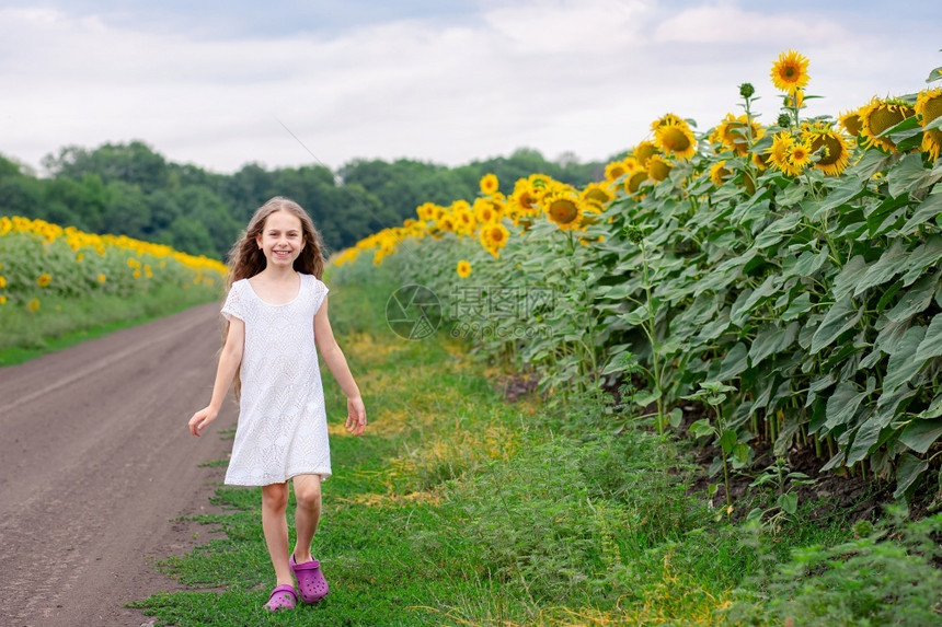 孩子沿着田野向日葵走在路上的漂亮女孩一个长发的美丽肖像沿着田野向日葵走在路上的漂亮女孩白种人的图片