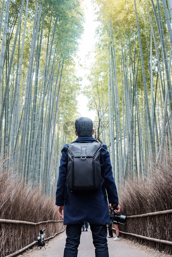 在日本京都旅游观光景点很受欢迎的亚洲旅行概念校对PortnoyThomaBanbooGroveArashiyamaBambooG图片