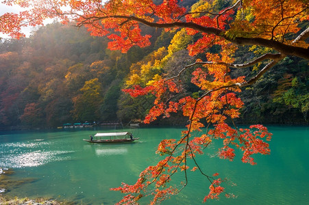 传统的平底船和服在日本京都沿河的秋季在浅山河上划船的夫在日本京都的亚林山河上打帆船背景图片