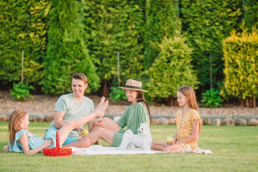 年轻家庭在公园野餐上玩乐快家庭在阳光明媚的一天在公园野餐上欢乐快家庭牛角包夏令水果图片