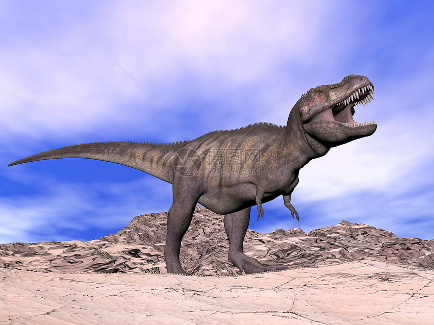 攻击在沙漠多云的一天恐龙张着嘴露出牙齿在沙漠中横冲直撞的暴龙恐古生物学史前图片