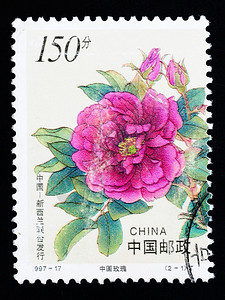 新鲜的花朵197年印刷的一幅有玫瑰花的印章197年纸背景图片