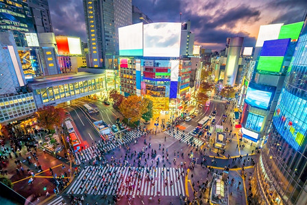 涩谷旅行地点从日本东京黄昏时的顶端观点横渡图片