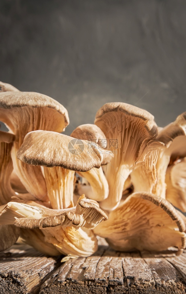 垃圾摇滚牡菇蘑收成位于旧木桌上与复制空间接近灰中底色为健康烹饪的新鲜美味蘑菇垂直框架真菌生的图片