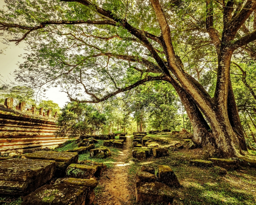 建筑学穿越柬埔寨热带森林暹粒的吴哥Wat综合建筑群古老废墟的空路开往柬埔寨SiemReap复杂的纪念碑图片